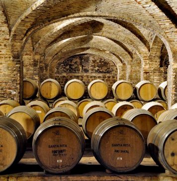 Viña SANTA RITA