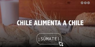 Campaña CHILE ALIMENTA CHILE