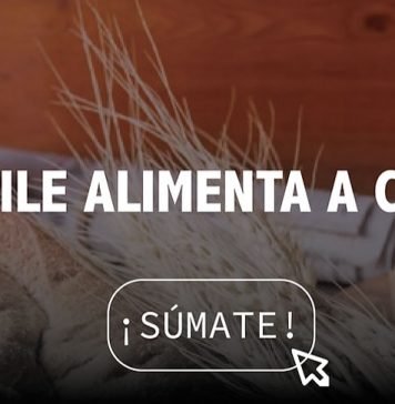 Campaña CHILE ALIMENTA CHILE