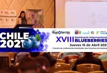 Seminario Internacional Blueberries Chile 2021
