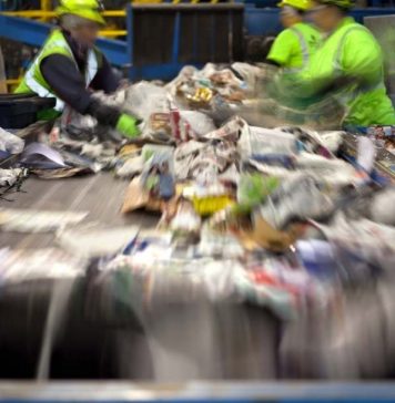 La Economía Circular y cómo Ecocluster asegura el cumplimiento de la Ley REP La Economía Circular y cómo Ecocluster asegura el cumplimiento de la Ley REP