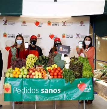 Ministerio de Desarrollo Social y Familia y Elige Vivir Sano lanzan aplicación para comprar frutas y verduras de ferias libres a domicilio