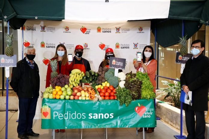 Ministerio de Desarrollo Social y Familia y Elige Vivir Sano lanzan aplicación para comprar frutas y verduras de ferias libres a domicilio