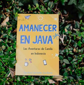 Amanecer en Java, un libro juvenil con valores
