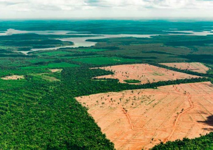 “Entendiendo la Amazonia”, un evento para discutir y entender mejor el universo llamado Amazonía, sin polemizar