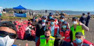 Puertos de Talcahuano participa en limpieza de playa en Isla de Los Reyes junto a diversas entidades locales