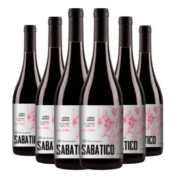 Revista Food & Wine de EEUU eligió a Sabático de la viña chilena Wildmakers como uno de los mejores vinos bajo $20 dólares