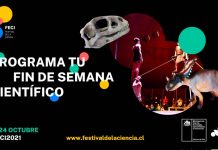 Festival de la Ciencia FECI finde