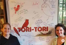 Juegos de Mesa: Tori Tori, diseñado, ilustrado y distribuido en Chile