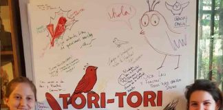 Juegos de Mesa: Tori Tori, diseñado, ilustrado y distribuido en Chile