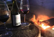 Vino chileno elegido como el mejor vino, sin intervención química, de Sudamérica llega a la Feria Chanchos Deslenguados