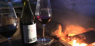 Vino chileno elegido como el mejor vino, sin intervención química, de Sudamérica llega a la Feria Chanchos Deslenguados