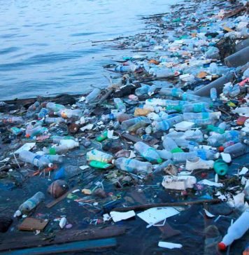 Evitar la contaminación de playas con plástico: El proceso para convertir los desechos en artículos de larga duración