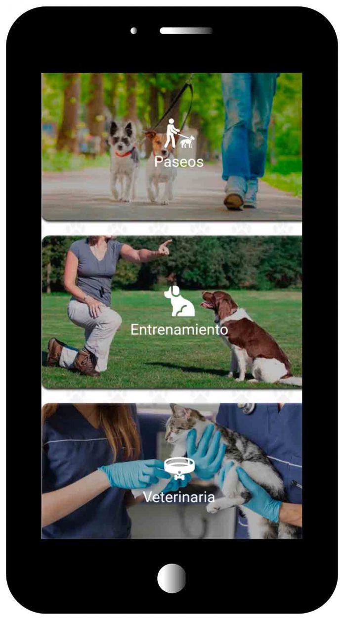 “We are Wof”, la innovadora APP dirigida a dueños de mascotas que busca crear conciencia sobre tenencia responsable y visibilizar animales en riesgo con tecnología de geolocalización