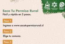 Pagar permiso de circulación en comunas rurales: La opción ciudadana que aporta a la descentralización y digitalización