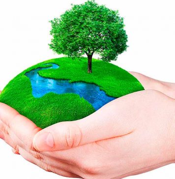 Día de la Tierra: Las 10 acciones que te pueden ayudar a cuidar el planeta
