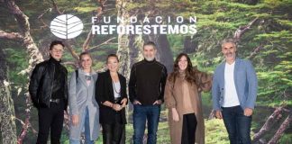 Lanzando un documental, Fundación Reforestemos celebra sus 10 años y el millón de árboles plantados