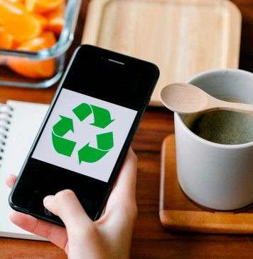 Día del Reciclaje: Cómo la transformación digital ayuda a cuidar el planeta