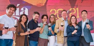 Fiesta del Día del Vino 2022 en Providencia supera los 50 mil asistentes