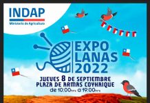 En la Plaza de Armas de Coyhaique