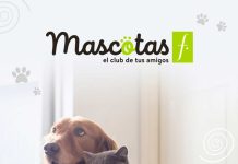 Falabella Retail presenta Club Mascotas F, un espacio para los  amantes de los animales 