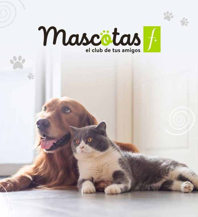 Falabella Retail presenta Club Mascotas F, un espacio para los  amantes de los animales 