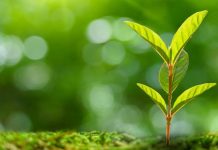 AIR LIQUIDE REFUERZA SUS INVERSIONES EN START-UPS DE IMPACTO A TRAVÉS DE ALIAD