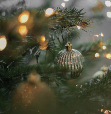 Nueva versión de Future Consumer Index de EY: 6 de cada 10 chilenos piensan reducir gasto en luces y decoraciones navideñas