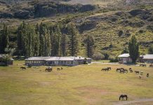 Reserva Las Torres obtiene certificación de sus praderas