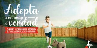 Centro Comercial Apumanque organiza jornada de adopción de perros