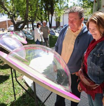 Muestra sobre abejas silvestres se extenderá hasta mediados de marzo en la plaza de Vichuquén