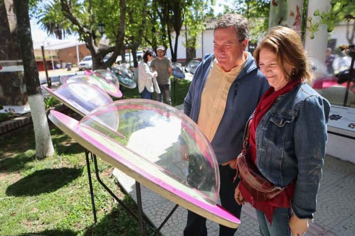 Muestra sobre abejas silvestres se extenderá hasta mediados de marzo en la plaza de Vichuquén