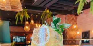 Summer cocktail un panorama ideal para acompañar las tardes de calor