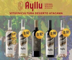 AYLLU vitivinicultura viñedos