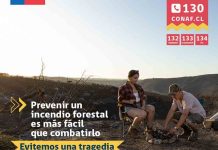 Incendios forestales: Botón Rojo de CONAF entre Maule y La Araucanía por altas temperaturas