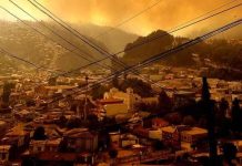 Residentes de Fundación Las Rosas fueron evacuados producto del incendio forestal de Arauco