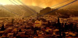 Residentes de Fundación Las Rosas fueron evacuados producto del incendio forestal de Arauco