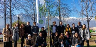 Nestlé, P&G y Walmart Chile sumarán 20.000 árboles a su iniciativa “Reforestemos Juntos”