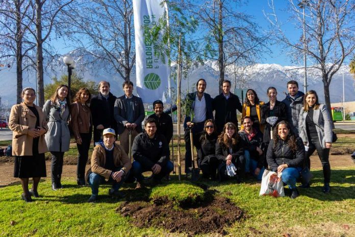 Nestlé, P&G y Walmart Chile sumarán 20.000 árboles a su iniciativa “Reforestemos Juntos”