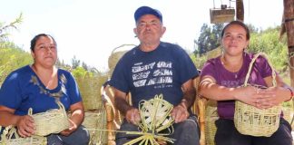 A sus 80 años Erasmo Agüero mantiene vivo el oficio de la cestería en caña en la comuna de Vallenar