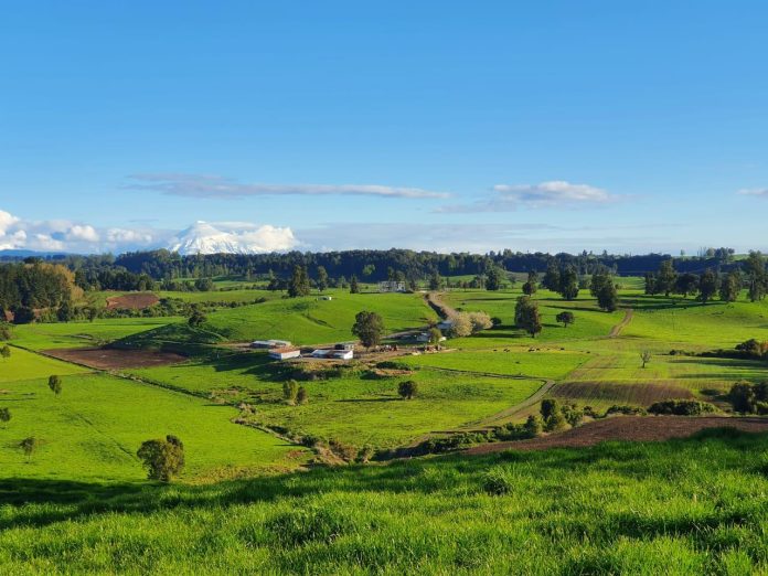 Con ofertas especiales y demostraciones en vivo Field Days Chile celebra 10 años de historia