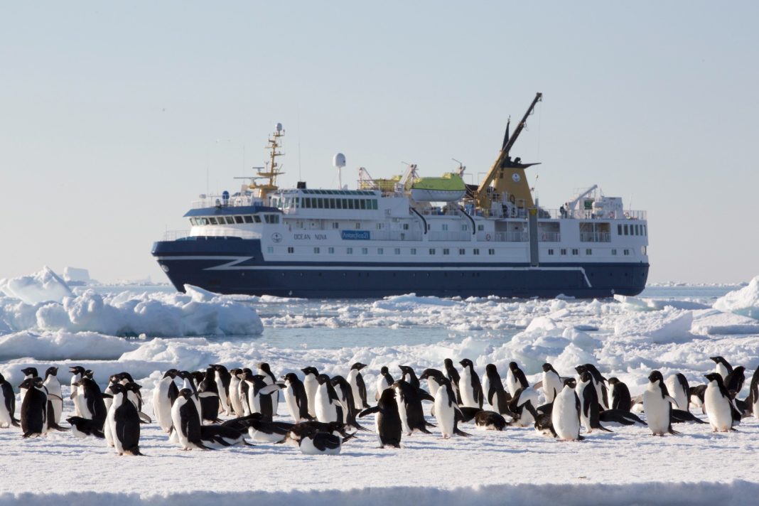 Más de 16.000 personas concursaron por una travesía gratuita a la Antártica desde Punta Arenas la ganadora fue una austriaca