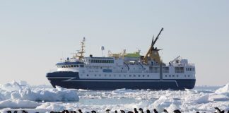 Más de 16.000 personas concursaron por una travesía gratuita a la Antártica desde Punta Arenas la ganadora fue una austriaca