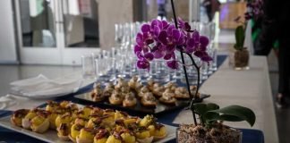 Proyecto “Biobío Turismo Creativo”: Emprendedores de la región se capacitarán en gastronomía con identidad local