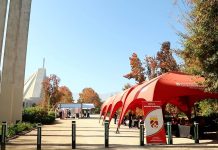 Feria de Emprendedores y homenaje audiovisual se toman la conmemoración del Día del Padre