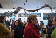 Desde Cochrane a la Bienal de Arte Textil: un río tejido que cruza las fronteras de arte y ciencia