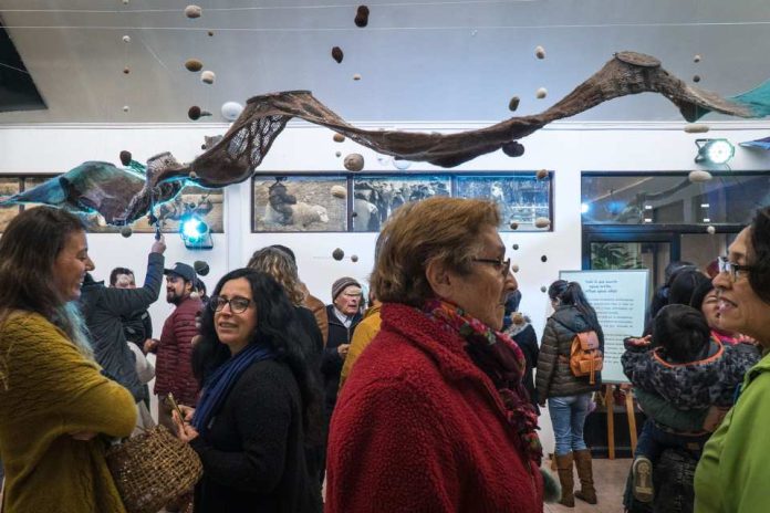 Desde Cochrane a la Bienal de Arte Textil: un río tejido que cruza las fronteras de arte y ciencia