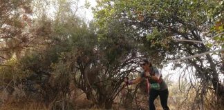 Mujeres Trail Runners