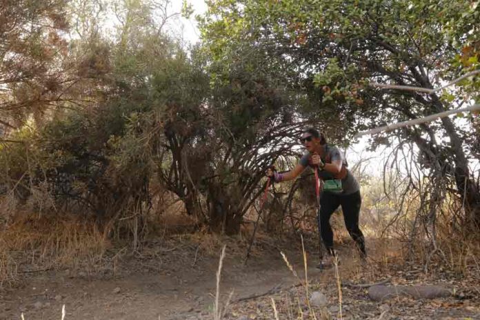 Mujeres Trail Runners