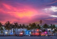 Palmeras y sol: American Airlines agrega más vuelos desde Miami con calendario para el invierno del hemisferio norte sin precedentes
